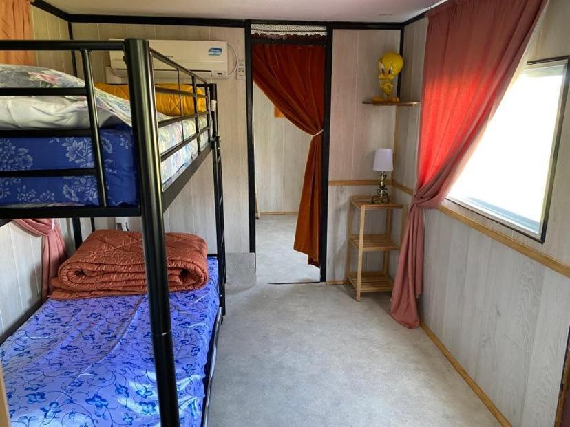 Pelerin - 