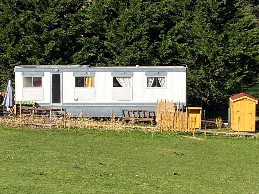 Pelerin - 