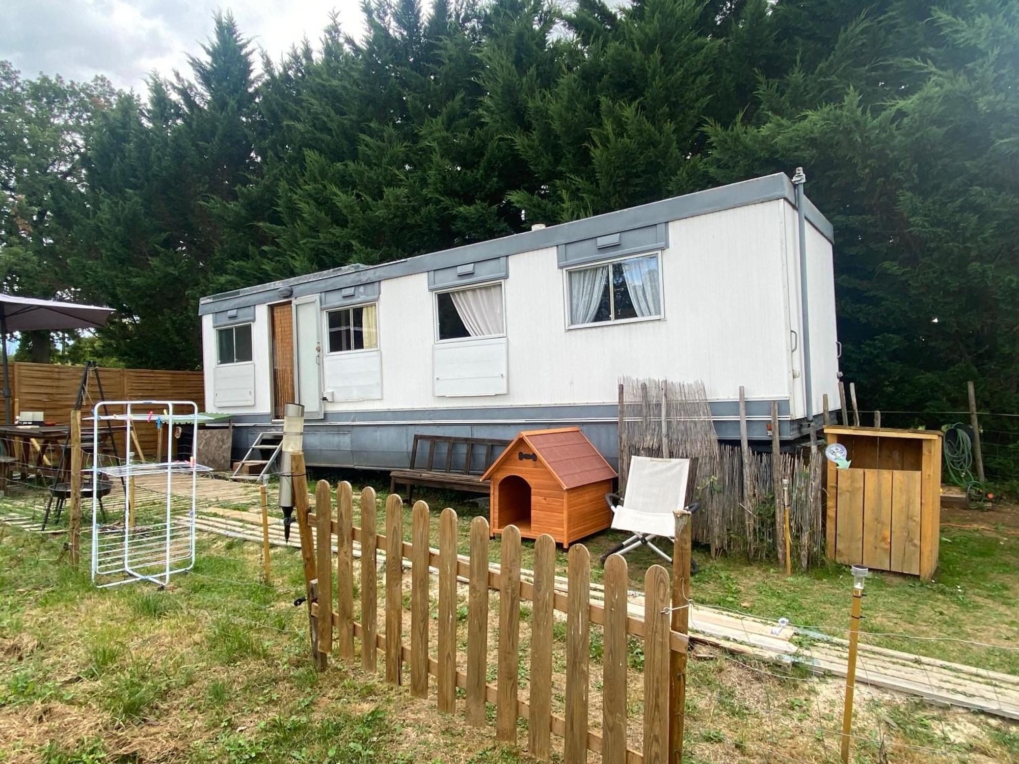 Pelerin - 